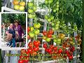 5e Taxandriarit op 1-9-2013 (41)